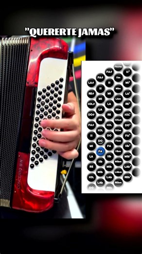 "Pero quererte Jamas" Demo Bajos de Acordeon #peroquerertejamas #acordeondeteclas #bajosdeacordeon