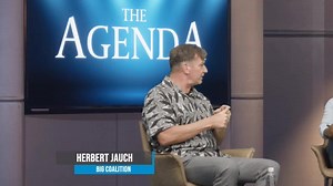 12K views · 284 reactions | * Should government implement the basic income grant of N$500 per month for all Namibians, rich and poor, employed and unemployed? Watch The Agenda tonight for some informed perspectives. | Namibian Sun | Facebook