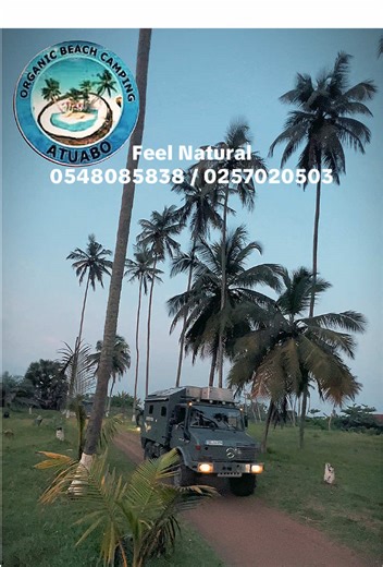 Organic Beach Camping Experience: Discover Nature's Beauty