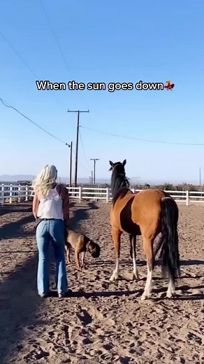 Horse Dancer - Equestrian Cowgirl Fun