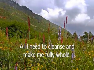 Bible Object Lesson Using Flowers