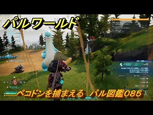 パルワールド ペコドンを捕まえる パル図鑑０８５ ＃１４７ 【Palworld】