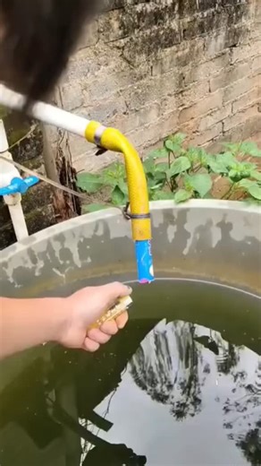 Cracker Vs Tapwater #crackers #crackers2024 #fireworks #fireworksdisplay #FireworksFestival #firecrackers #reelschallengereelschallenge #reelschallenge #experiment #usareels #usa | Fireworks Videos