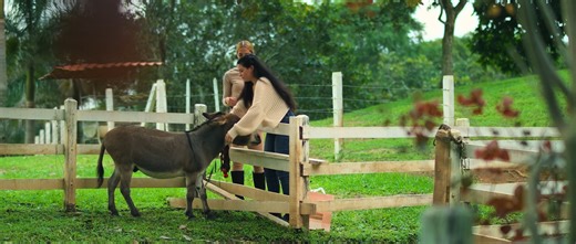 Una navidad sin nieve