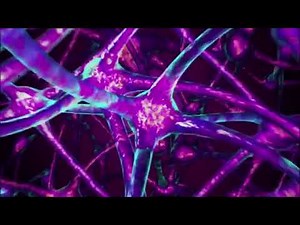 Brain Blast Part 1