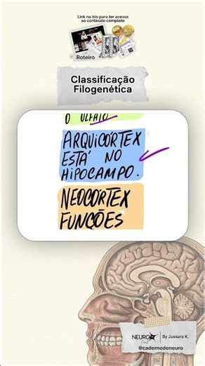 Córtex Cerebral