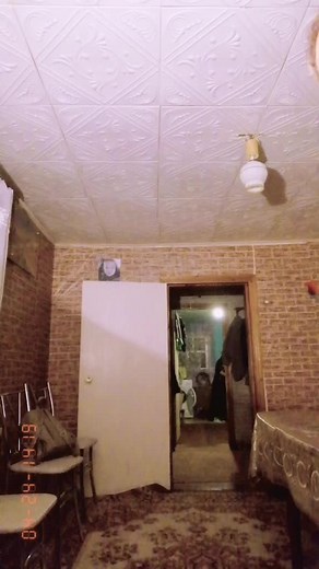 Elegant Indoor Fashion Showcase in a Classic Setting