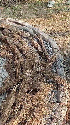 AABA LAGATE HUE #explore #kulhad #business ‪@C5Industries‬