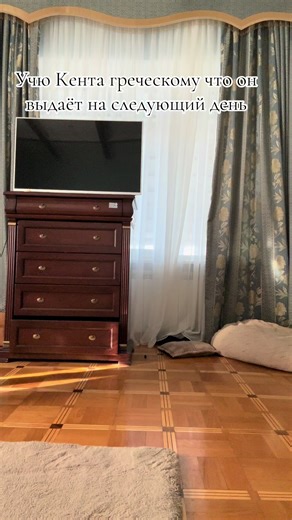 Learn Greek Language Basics with Fun Phrases