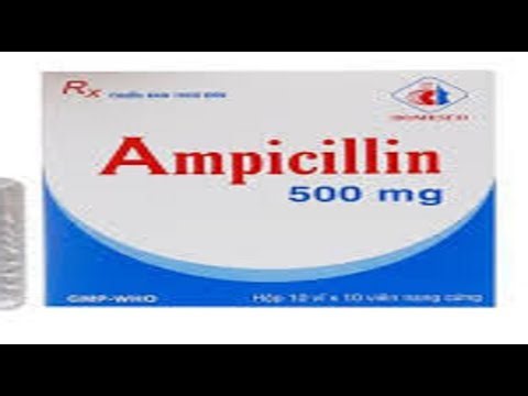Ampicillin A Key Antibiotic in Infection Treatment