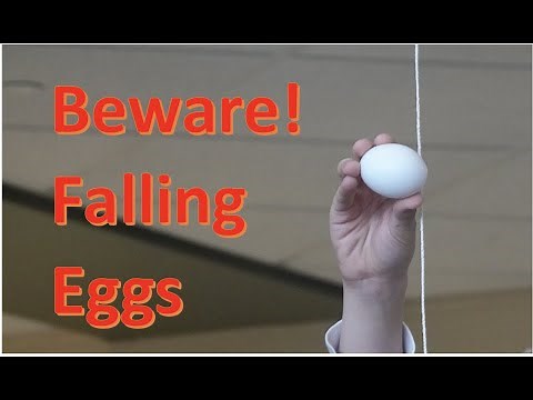 Egg Drop Project Highlights,