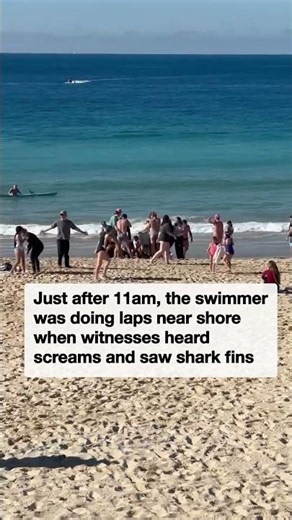 Shark attack at Coogee Beach