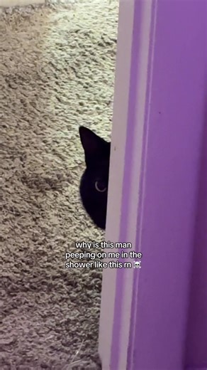 Caught in the Act: Peeping in the Shower