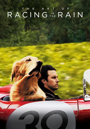 The Art of Racing in the Rain streaming online