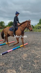 4.2K views | Light hack? Schooling pro? Full-time athlete?  Not all horses work the same. Find out if your horse is in light, medium, or hard work!  Get the honest (and slightly funny) breakdown in our latest blog: https://bluechipfeed.com/blogs/horse-care-corner/your-horse-s-workload-explained-the-honest-and-slightly-funny-guide | Blue Chip Feed | Facebook