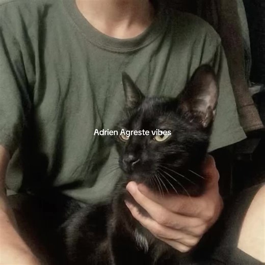 Exploring Marinette's Amazing Taste in Miraculous Adventures