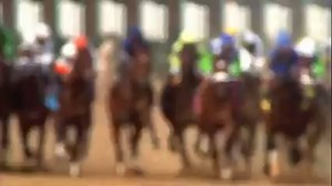 6.7K views · 447 reactions | Did you know that Barbaro won the Holy Bull Stakes on his way to winning the #KyDerby in 2006? . . Who will win this year? Post time is at 5:43PM ET at Gulfstream Park! | Kentucky Derby | Facebook