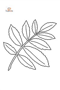 Sumac Tree Leaf coloring page ♥ Online and Print for Free!