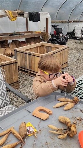 We have made our first dividing dahlia tubers tutorial for those beginning their journey...... Please visit our HIDDEN WELL GARDENS page on Facebook for this and further informative videos! You can also follow us here! #hiddenwellgardens #dahliatubers #cutflowerfarm #flowerfield #process #dividing #tubers #dahliafarm #gardening #dahliaseason #dahlias #dahlia #processing | Tanya Hohn | Facebook