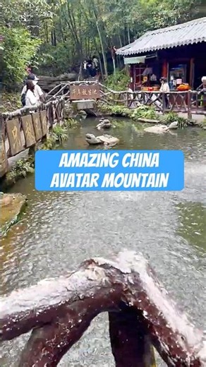 Amazing china #avatarmountains # Zhangjiajie #National #Forest #Park