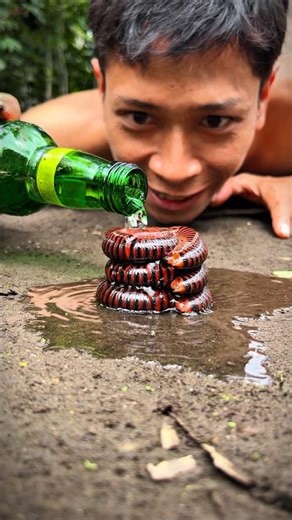 Don't make a sound, Bathing the cute trio of millipedes #millipedes
