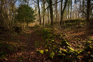 White Rocks Nature Reserve | Herefordshire Wildlife Trust