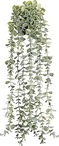 Der Rose 1Pcs Fake Plants Hanging Artificial Potted Faux Eucalyptus Plants for Modern Boho Farmhouse Bathroom Office Desk Wall Art Shelf Living Room Aesthetic Decor Indoor