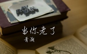 洛天依、言和打起来了!?【对攻原创曲】盲龙默虎 (漫画PV付)-最棒的00FFCC-缓存-哔哩哔哩视频