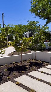 Skatepark house. | Prestigious Gardens