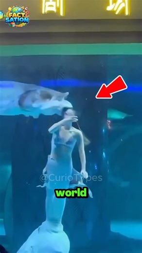 😳 Top 5 Deadliest Jobs in the World | You Won’t Believe #1