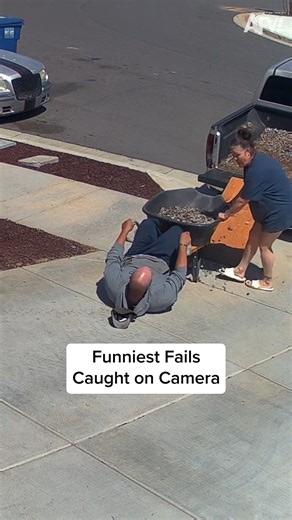 943K views · 16K reactions | We're so lucky the camera caught these! 藍 | America's Funniest Home Videos | Facebook