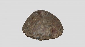 Roman puddingstone quern (SOTLS : A1963.602) - 3D model by Southampton Cultural Services (@Southampton_Cultural_Services)