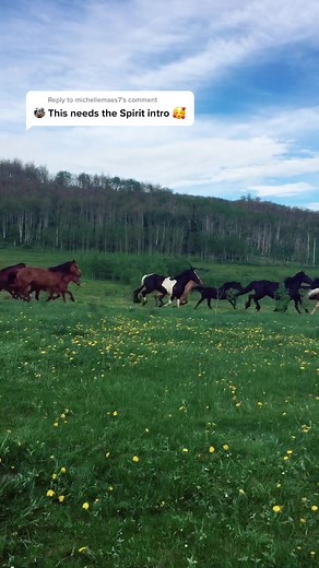 Spirit Original Soundtrack Theme Ball Music | Spirit Intro | Wild Horse Ranch Life