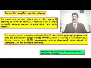 unit 1 lecture 3 Acetate Pathway study Fifth Sem students