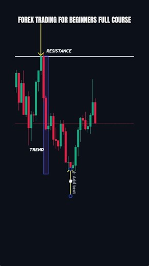 Forex Trading For Beginners Full Course