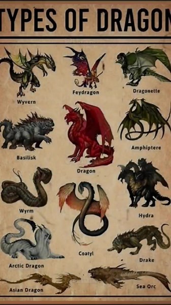 Amphithere Dragons: Discover Their Unique Traits