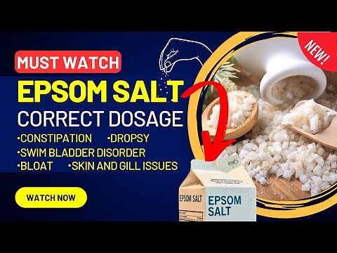 How to use Epsom Salt for Different Fish Treatments? | Fish Stay Healthy and Happy - Must Watch
