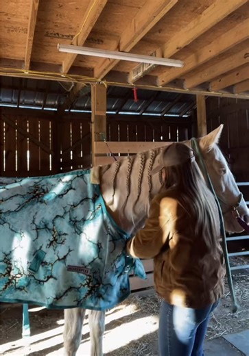 Understanding Cremello Horses and Fleece Benefits