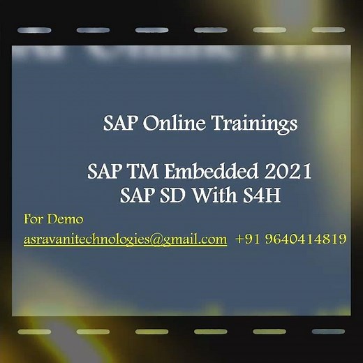 SAP TM Functional Training (Embedded 2023) BY Sravani Technologies