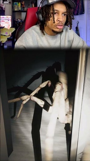 This Spider Horror Game is TERRIFYING | Huntsman