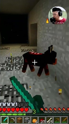 THE BIGGEST SCARE OF MY LIFE — Minecraft