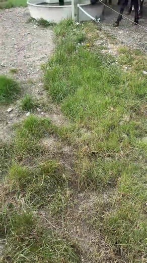 Learn Quick Dance Moves for All Ages