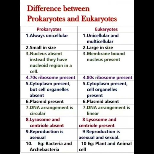 difference between prokaryotic and eukaryotic cell #biology