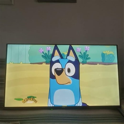 11 April 2026 cbeebies Africa continuity