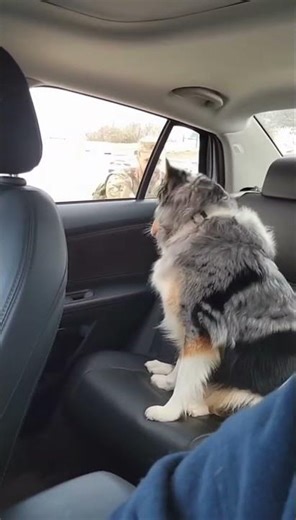 He was so happy that he couldn't even open the door