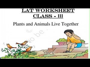 Class 3 /twau lat worksheet/plants and animals live together/ncert#kv360 #evs #class3 ‪@KVS360‬