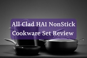 All-Clad Ha1 Review (2025 Edition)