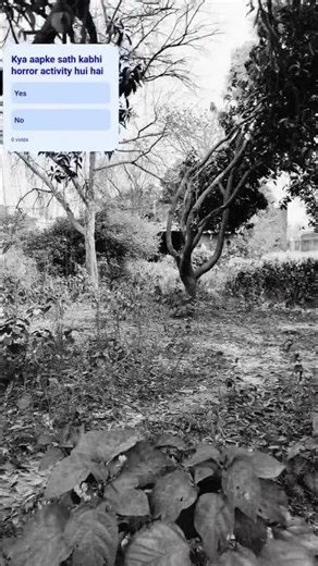 Galti se camera me record ho gaya 🎥