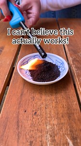 Genius Home Hacks 🤯 Incredibly clever plant tips, kitchen tricks and life hacks for the entire household! #home #backyard #lifehacks #tipsandtricks #HomeImprovement This original video was produced by Network Media, LLC and Jeff & Lauren Productions. | Hackity Hack Club