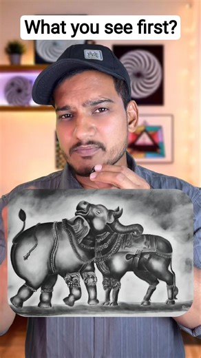 What did you see first? Elephant or Cow | Optical illusion test
